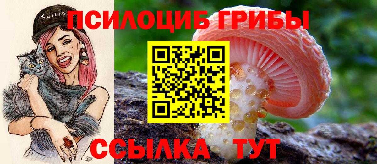 Псилоцибиновые грибы мицелий Вичуга