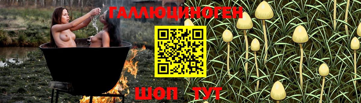 Вичуга  Псилоцибиновые грибы прущие грибы  Вход с VPN 