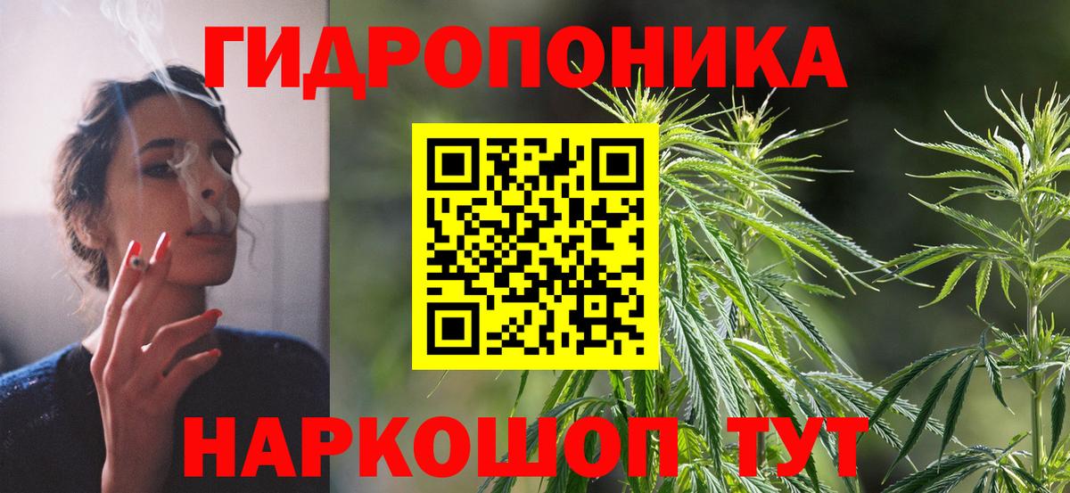 Бошки Шишки план  Бошки марихуана планчик  Вход с VPN  Вичуга  Бошки марихуана MAZAR  Конопля ГИДРОПОН 